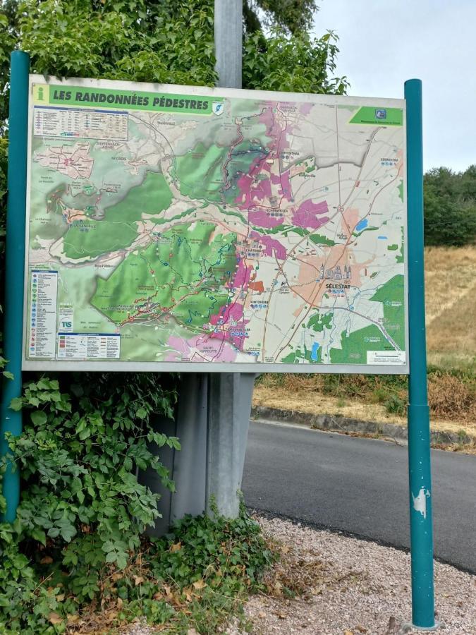 Gite Au Nid De Cigognes Villa Dieffenthal Luaran gambar