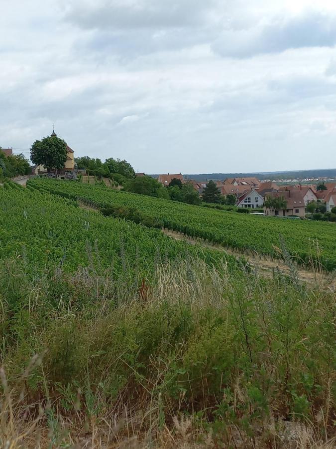 Gite Au Nid De Cigognes Villa Dieffenthal Luaran gambar