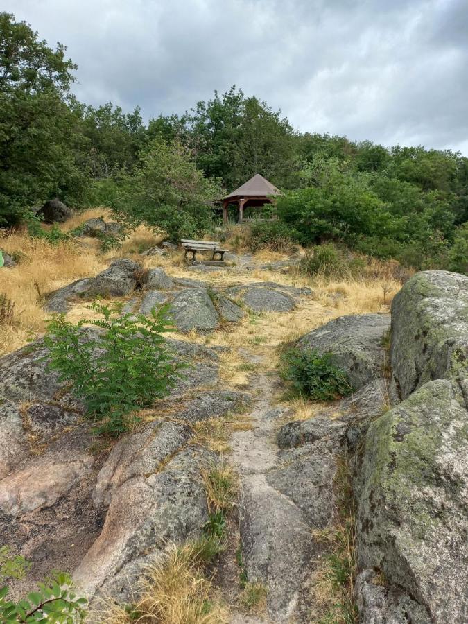 Gite Au Nid De Cigognes Villa Dieffenthal Luaran gambar