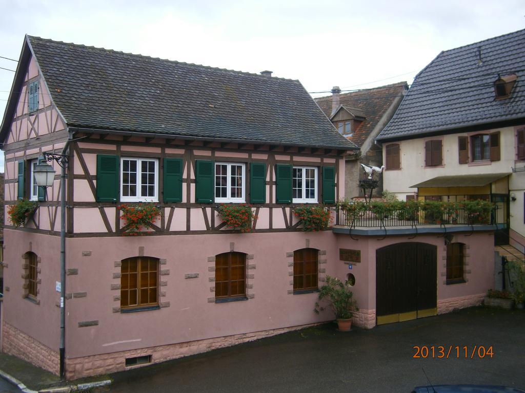 Gite Au Nid De Cigognes Villa Dieffenthal Luaran gambar